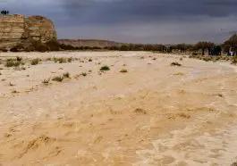 ID 340251401 © Amnontaller | Dreamstime.com