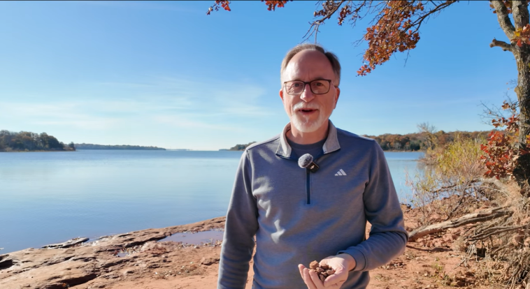 Two types of Natural Selection video still