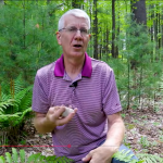 Why Did Dinosaurs Swallow Rocks? video still