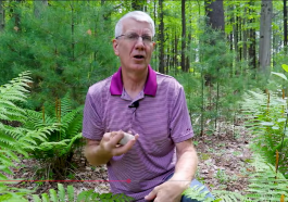 Why Did Dinosaurs Swallow Rocks? video still