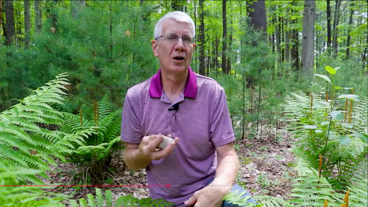 Why Did Dinosaurs Swallow Rocks? video still