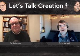 After the Flood: We respond to critics video still