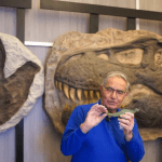 Dinosaurs by design video still