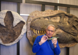 Dinosaurs by design video still