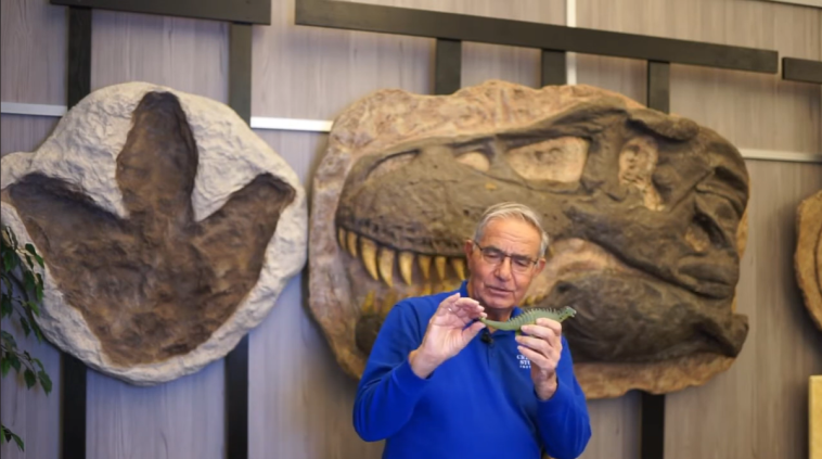 Dinosaurs by design video still