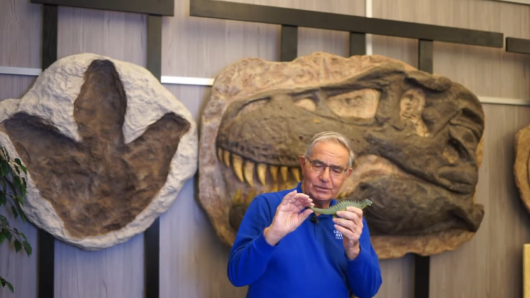 Dinosaurs by design video still