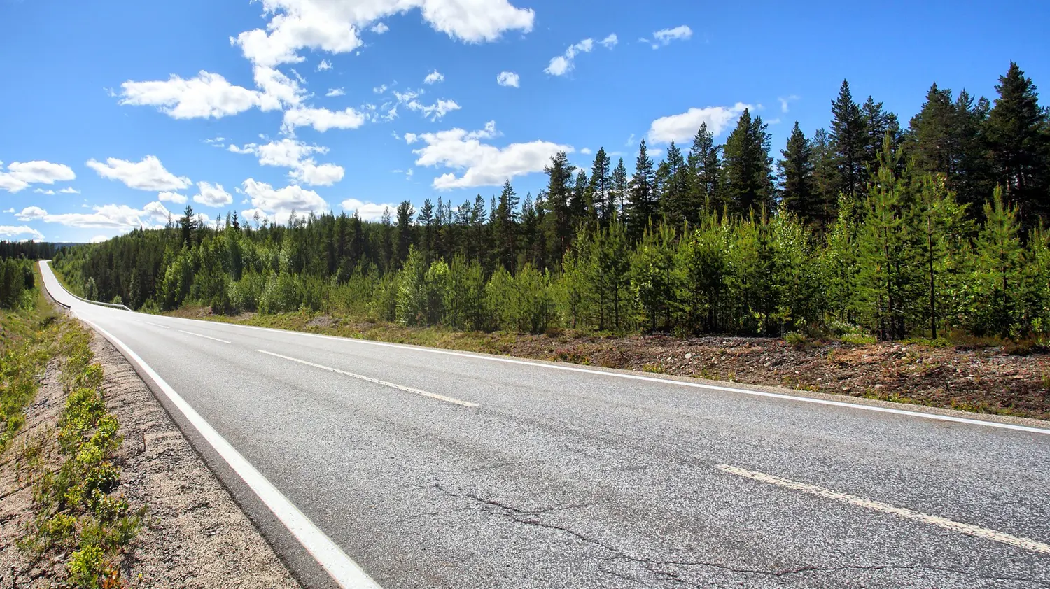 Forest and highway: ID 29087705 | Country Highway © Mikael Damkier | Dreamstime.com