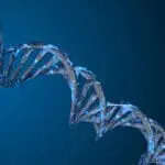 DNA strand: ID 155231593 © Mikiell | Dreamstime.com