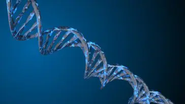 DNA strand: ID 155231593 © Mikiell | Dreamstime.com