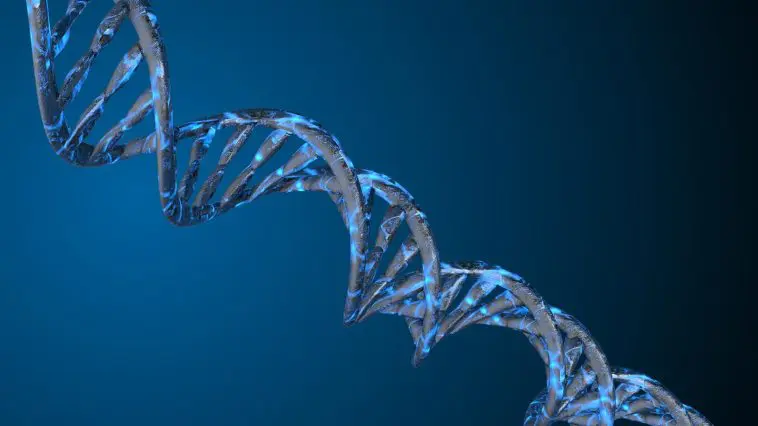 DNA strand: ID 155231593 © Mikiell | Dreamstime.com