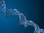 DNA strand: ID 155231593 © Mikiell | Dreamstime.com