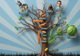 Evolutionary Tree of Life model, photo credit: Bryan Melugin using AI to render