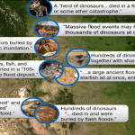 How do Dinosaurs Fit into the Bible video still