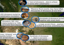 How do Dinosaurs Fit into the Bible video still