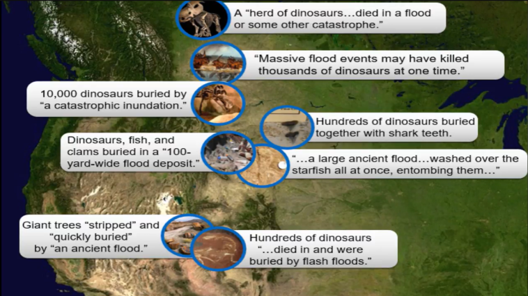 How do Dinosaurs Fit into the Bible video still