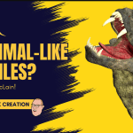 Mammal-Like Reptiles? video still