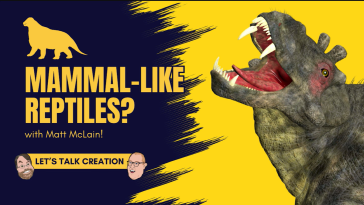 Mammal-Like Reptiles? video still
