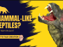 Mammal-Like Reptiles? video still