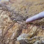 photo credit: ID 169203878 © Whpics | Dreamstime.com