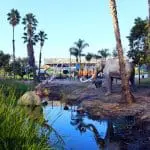 La Brea Tar Pits elephant in a pool statues: ID 302561428 © Walter Cicchetti | Dreamstime.com