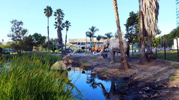 La Brea Tar Pits elephant in a pool statues: ID 302561428 © Walter Cicchetti | Dreamstime.com
