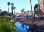 La Brea Tar Pits elephant in a pool statues: ID 302561428 © Walter Cicchetti | Dreamstime.com
