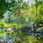 Khao Sok National Park the rain jungle forest in Surat Thani province. Garden of Eden loveliness: ID 99435597 | Mountain Landscape © Mikhail Gnatkovskiy | Dreamstime.com