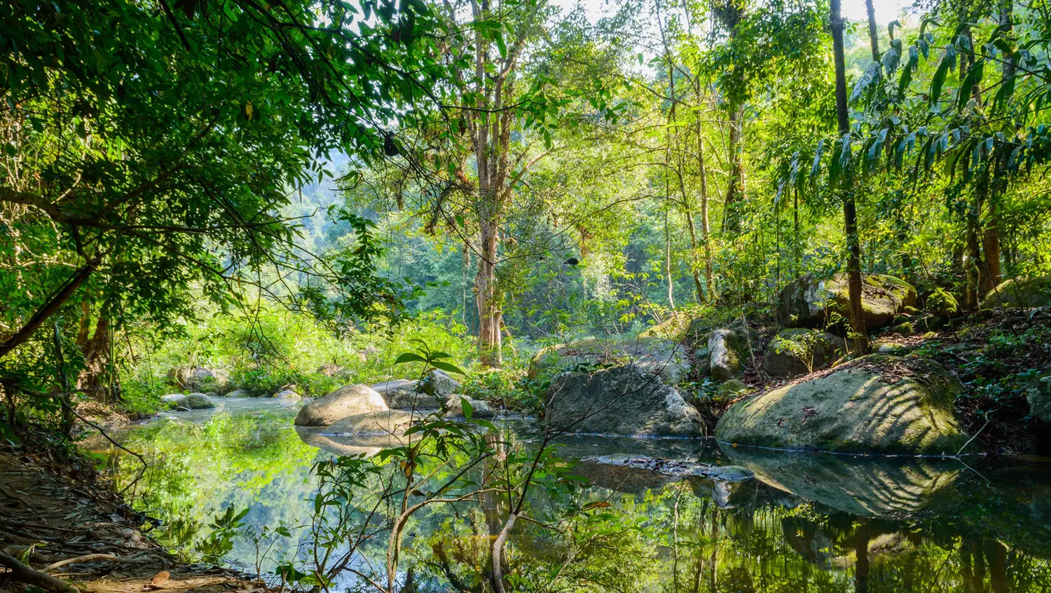 Khao Sok National Park the rain jungle forest in Surat Thani province. Garden of Eden loveliness: ID 99435597 | Mountain Landscape © Mikhail Gnatkovskiy | Dreamstime.com