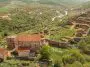 Ruins of Medieval Dmanisi: ID 317074124 © Aleksandr Medvedkov | Dreamstime.com