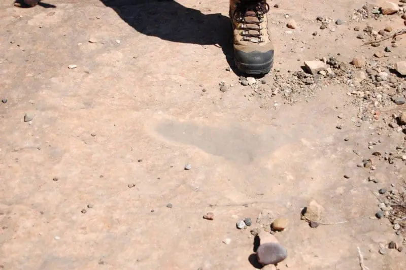 Greg Morgan's foot alongside footprint #1