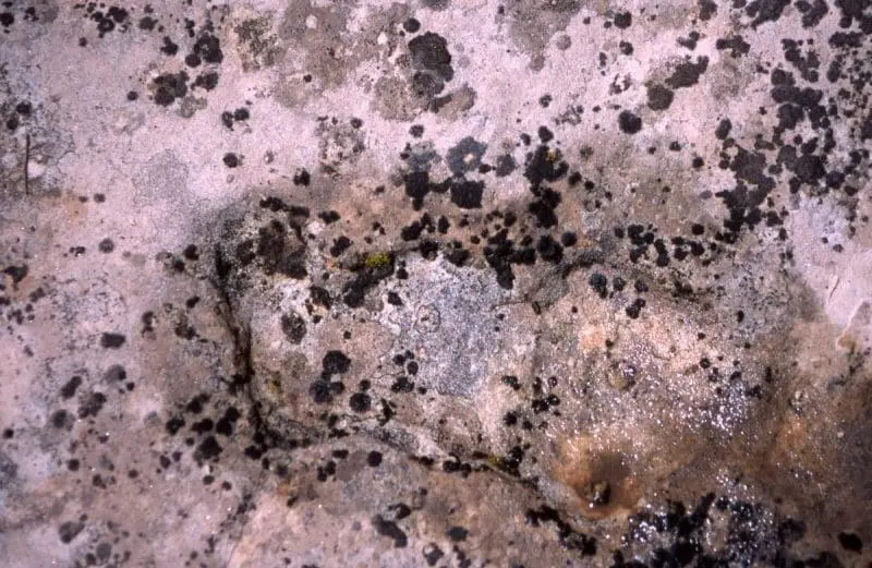 Child footprint, photo credit: Greg Morgan