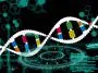 DNA illustration on teal technological backdrop: ID 466657906 © Wave Break Media Ltd | Dreamstime.com