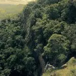 View from the Mapleton Falls overlook: ID 109184900 © Robert Downer | Dreamstime.com
