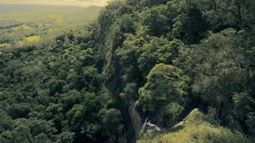 View from the Mapleton Falls overlook: ID 109184900 © Robert Downer | Dreamstime.com