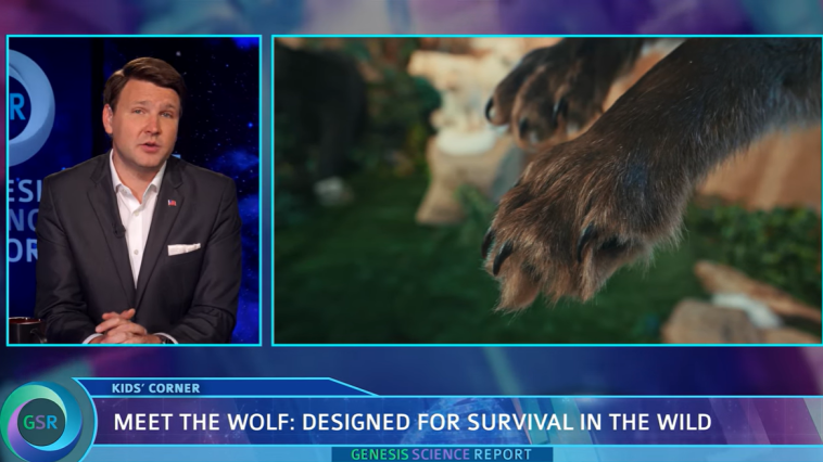 Wolves and Dogs video still