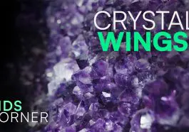 Purple Amethyst DRM video still