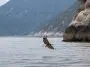 Bald Eagle in flight over the fjord Skagway, AK: ID 249536652 © Klodien | Dreamstime.com