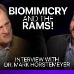 Interview with Dr. Mark Horstemeyer video cover