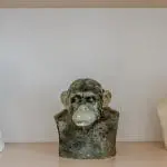 Busts of human and supposed evolutionary ancestors: ID 159183459 © Denys Kurbatov | Dreamstime.com