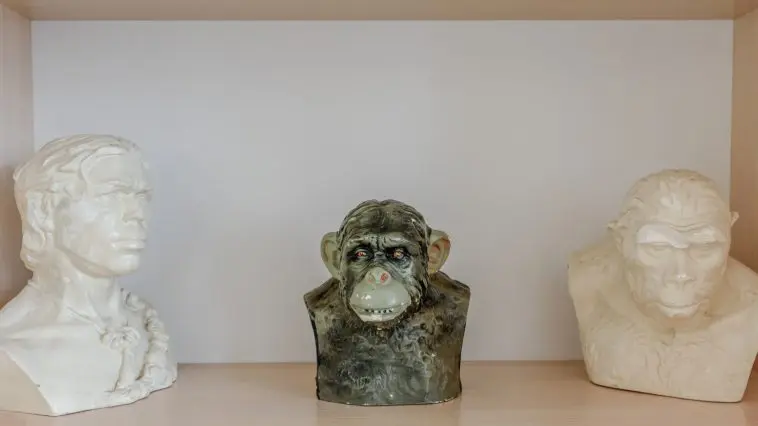 Busts of human and supposed evolutionary ancestors: ID 159183459 © Denys Kurbatov | Dreamstime.com