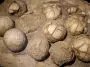 Hadrosaurus egg clutch: ID 48171278 © Jaroslav Moravcik | Dreamstime.com