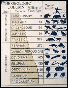 geologic-column-for-article