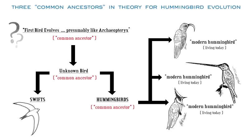 CommonAncestorGraph1