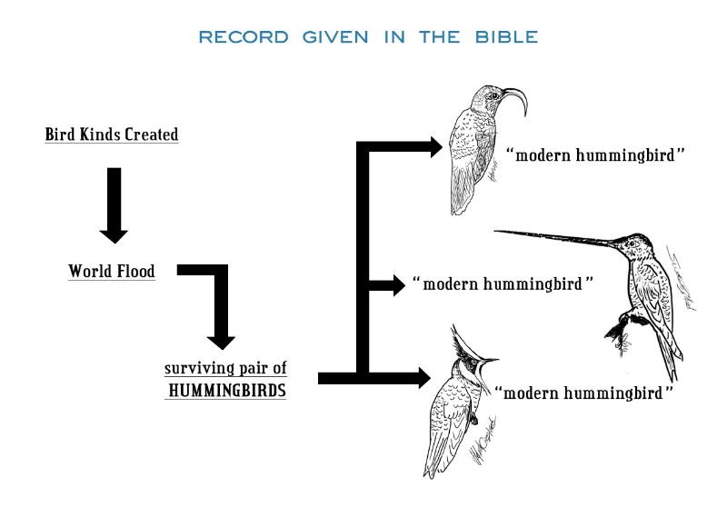 CommonAncestorGraph2