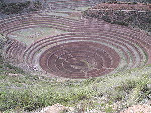 Ancient terraces in Peru (we guess they were trying new techniques)