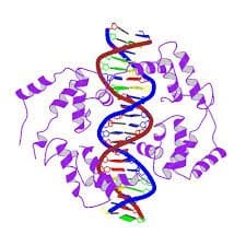 Creation Club DNA Illustration