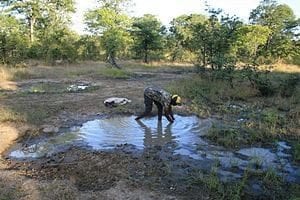 Kunda Man Trying to Catch a Protopterus, Luangwa Valley (Zambia)