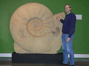 Parapuzosia seppenradensis, biggest known ammonite, diameter 1.8o m.