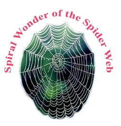 spiral wonder of the spider web icr