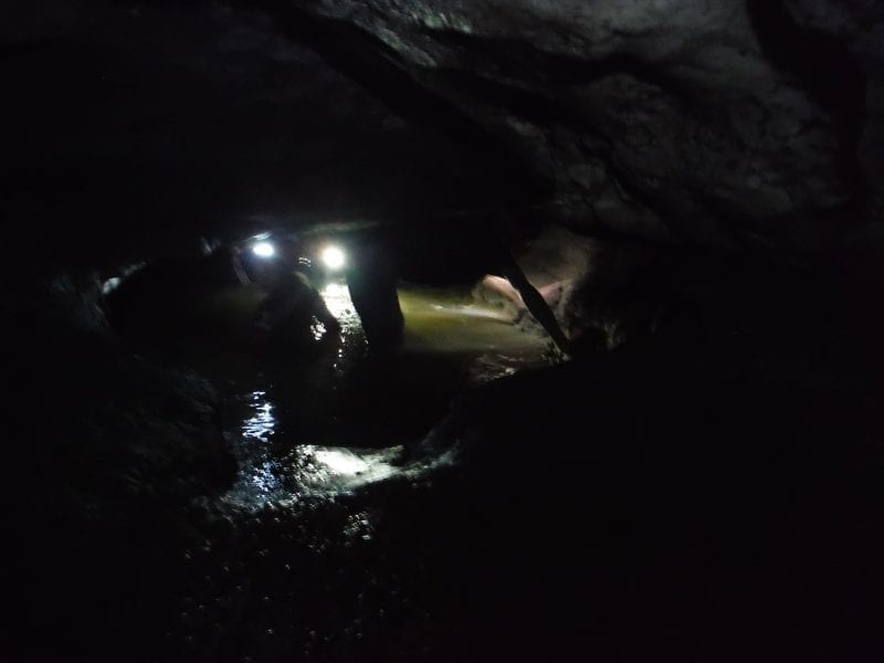 Cave with water dimly lit by flashlights, photo credit: Sara Mikkelson